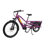 Vélo cargo électrique Yuba Spicy Curry – Image 2