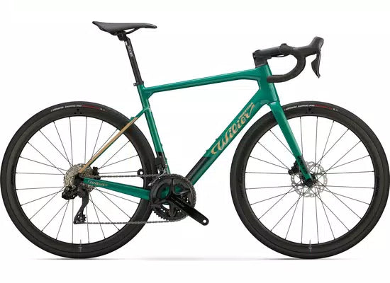 Wilier Garda 2026 - Shimano 105 R7100 2x12sp - Miche Reflex DX – Image 3