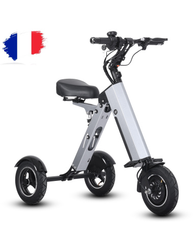 MATE 4 trottinette électrique 3 roues pliable 16 kg batterie amovible trottinette électrique tricycle 3 roues PMR ultra légère